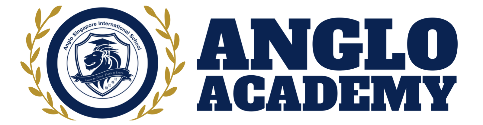 Anglo Academy